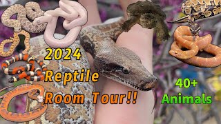 2024 Reptile Room Tour [upl. by Carrie]