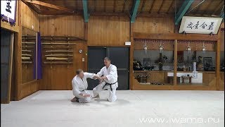 Айкидо Ивама Рю Коккю наге Иккё Aikido Iwama Ryu Iwama after keiko Kokkyu nage Ikkyo [upl. by Wohlert968]