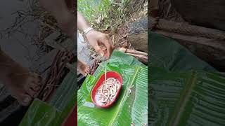 MUKBANG TATUD or TAMILOK ang sarap sa kilawin😋 [upl. by Enyawd478]