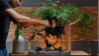 New Luxury Planted Tank for my 3 Years Old Betta  Aquascape Tutorial [upl. by Jasmin]