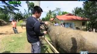 Born to be Wild Doc Ferdz Recio attends to residents and their sick pets in Bohol [upl. by Asnerek]