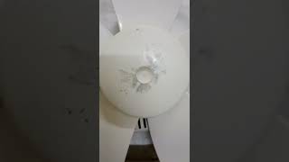 Ventilating fan short video electrical viralvideo [upl. by Irual240]