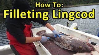 HOW TO FILLET LINGCOD  FISHING TIPS [upl. by Kennith]