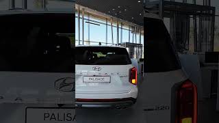 Hyundai Palisade [upl. by Paris623]