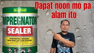 PARA SAAN GINAGAMIT ANG IMPREGNATOR SEALER bestvarnishpaintsideasandtechniques [upl. by Blackmun]