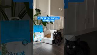 4 Cat Litter Box Tips cats catlovers okocat healthypet [upl. by Nanci709]