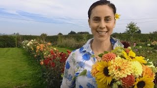 Offrir des fleurs à des inconnus pour aller mieux  Lonely Bouquet  Mille et une vies [upl. by Nudnarb80]