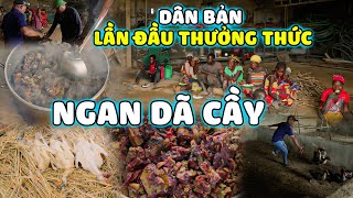 Quanglinhvlogs  quotNgan Giả Cầyquot Người Dân Bản Lần Đầu Được Thưởng Thức Và Cảm Nhận [upl. by Filipe794]