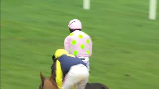 Racing Highlights Punchestown 9 Decemer 2018 [upl. by Direj162]