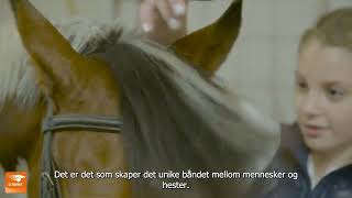 Equestrian Young Riders norsk tekst [upl. by Julietta]