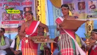 NEW video rajbanshi song dance simpal dancehari rajbanshisarmilaJHAPAbirtamodshots [upl. by Acimot]