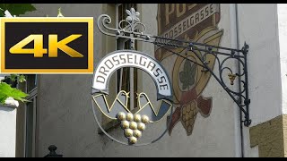 Die Drosselgasse in Rüdesheim [upl. by Ellesij]