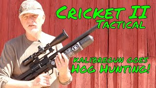 Airgun Hunt Field Time with the Kalibrgun Cricket II Tactical [upl. by Johnny291]