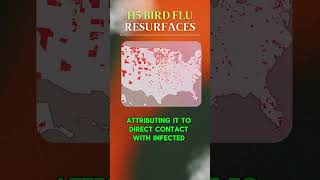 H5 Bird Flu Strikes in Canada What You Need to Know [upl. by Lraed]