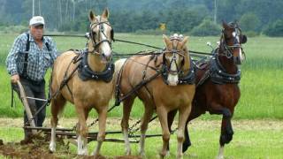 Lynden International Horse Plowing Competition 2016 [upl. by Ajar]