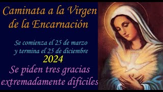 Caminata a la Virgen de la Encarnación 2024 [upl. by Bobbette625]