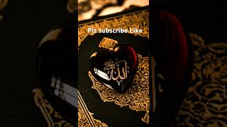 Labbaik ya Rasool allah [upl. by Skerl545]