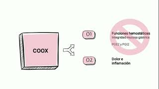 Aines y gastrolesión explicación del daño intestinal por aines y la forma de prevenirlo [upl. by Ennaisoj]