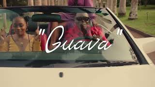 WizKid Type Beat 2023 x Burna Boy Type Beat 2023  quotGuavaquot [upl. by Olia]