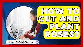 How To Cut And Plant Roses  LearnToDIY360com [upl. by Nidnerb]