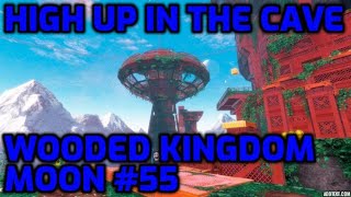 Super Mario Odyssey  Wooded Kingdom Moon 55  High Up in the Cave [upl. by Rheba]