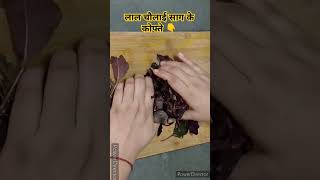 लाल चौलाई साग के कोफ्ते की रेसिपी kofta chaulaikisabji chaulai chaulaikofta tastekapitara [upl. by Roseline74]