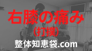 右膝の痛み（打撲）「整体知恵袋com」 [upl. by Yerok]