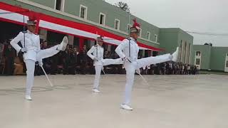 Escuela Militar de Chorrillos 2018  Entrega de Armas [upl. by Ortiz]