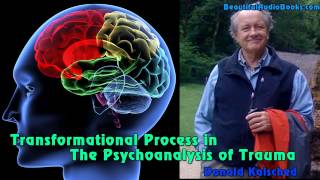 Transformational Process in the Psychoanalysis of Trauma by Donald Kalsched  part 4 [upl. by Rednal302]