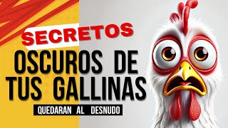 Secretos de las Gallinas Ponedoras Que Te SORPRENDERÁN [upl. by Yelad31]