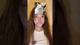 Cat filter wait for me 😆  shortvideoviral shortvirul cat catfilter funnyanimals [upl. by Paco]