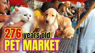 Recent Dog Puppy Price Update  Galiff Street Pet Market Kolkata  dog market in kolkata  Kolkata [upl. by Woolson]