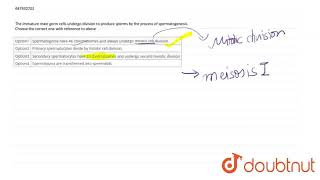 The immature male germ cells undergo division to produce sperms by the process of spermatogenesi [upl. by Neltiac]