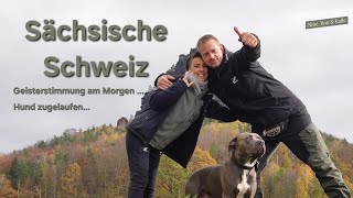 V37 Sächsische Schweiz youtube vlog Autark mit Wohnmobil amp Hund zwischen Pirna amp Bad Schandau [upl. by Arhsub]