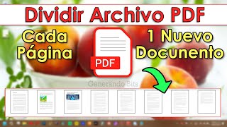 Dividir PDF por páginas cada hoja un archivo convertir documento separado [upl. by Nawor]