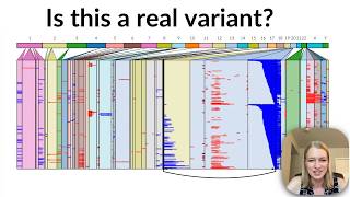 How to investigate structural variants A bioinformatics tutorial [upl. by Allianora127]