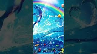 I JS WANNA BE PART OF UR SYMPHONYYY🐬🌈✨ music symphony funny trend dolphin [upl. by Scevour]