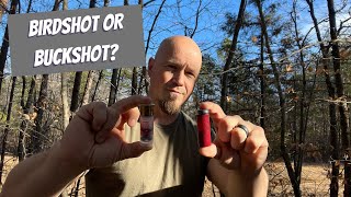 Birdshot or Buckshot for Home Defense [upl. by Ingunna]