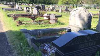 Short walk in the Carnmoney East Cemetery [upl. by Oliric435]