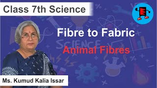 CBSE Class 7 Science Fibre to Fabric Animal Fibres Extraminds [upl. by Ilecara694]