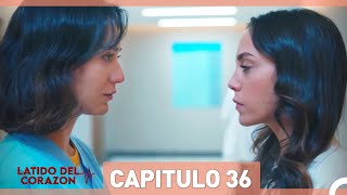 Latido Del Corazon Capitulo 36 Doblaje al Español [upl. by Nerine680]