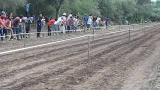 Carreras ðŸ‡ ðŸ‡ cuadreras Catalina vs Soy Bonita [upl. by Tecla]