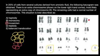 Haploidy Monosomy Mosaicism Trisomy Balanced translocation explained [upl. by Radmilla]