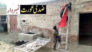 Number Daar Or Zidi Urat Funny  New Top Funny  Must Watch Top New Comedy Video 2020  You Tv [upl. by Nunciata]