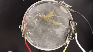 electrochemical deposition of Ag [upl. by Dew406]