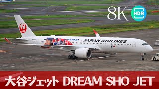 8K HDR Aspirations of Shohei Ohtani 大谷翔平ジェット「DREAM SHO JET」 [upl. by Iahs]