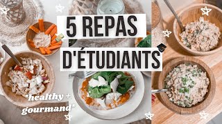 5 idées de plats pour étudiants 80  Facile pas cher et rapide [upl. by Alimac519]