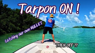 Florida Keys Tarpon fishing and cast netting mullet for bait [upl. by Cindi]