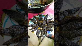 Delicious Beef Tilli Recipe😋😋shorts streetfood yummy food foodie foodlover youtubeshorts [upl. by Aniara290]