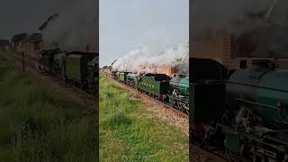 Romney Hythe amp Dymchurch MultiHeader rhampdr train steamengine SLIPs railway steamlocomotive [upl. by Draned]